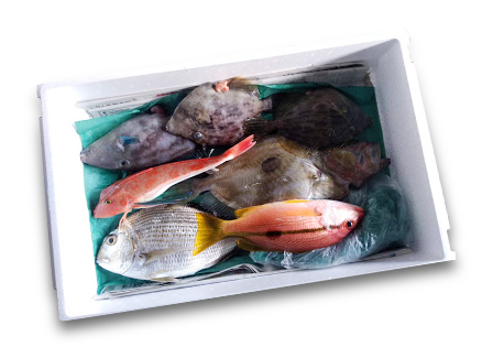 鮮魚ボックス